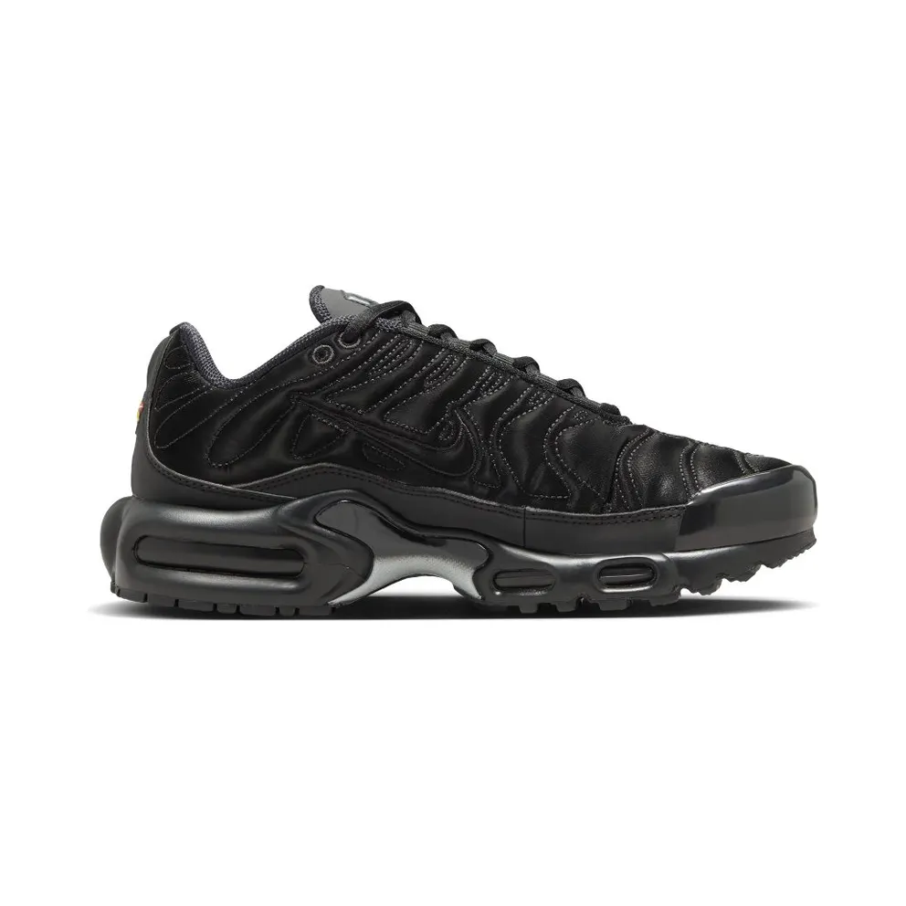 Nike Air Max Plus Black/Anthracite/Sail/Black (FV1169-001)