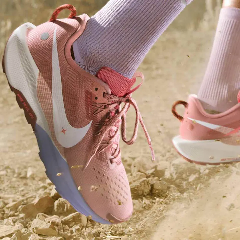 nike-air-pegasus DV3865-403
