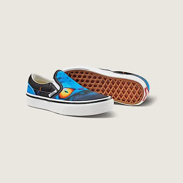 vans-slip-on VN000EECBMA