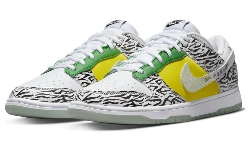 nike-dunk DR7305-100