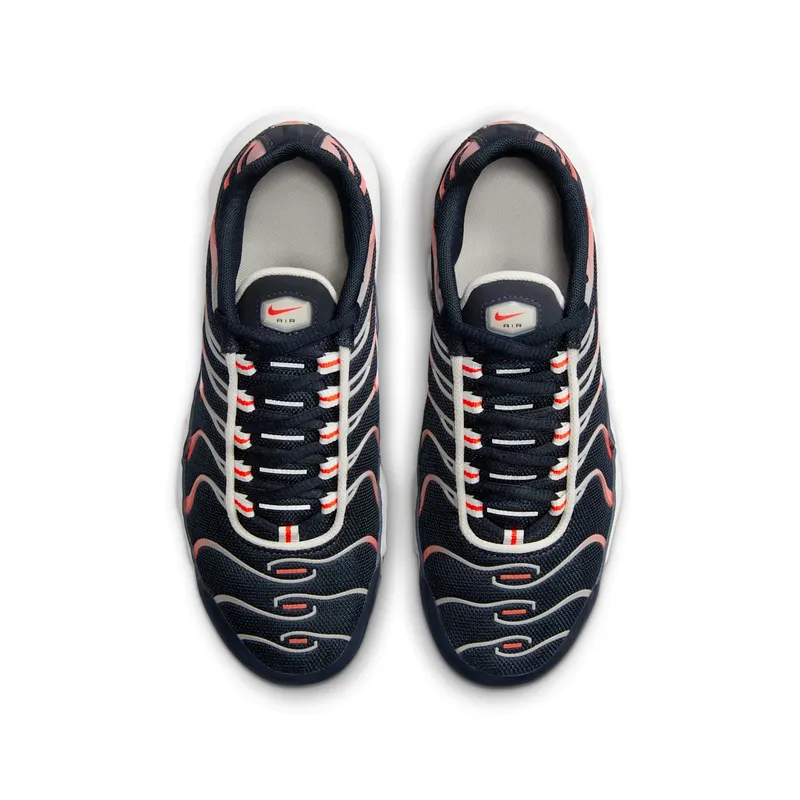 Nike Air Max Plus Dark Obsidian Bright Crimson (CD0609-408)