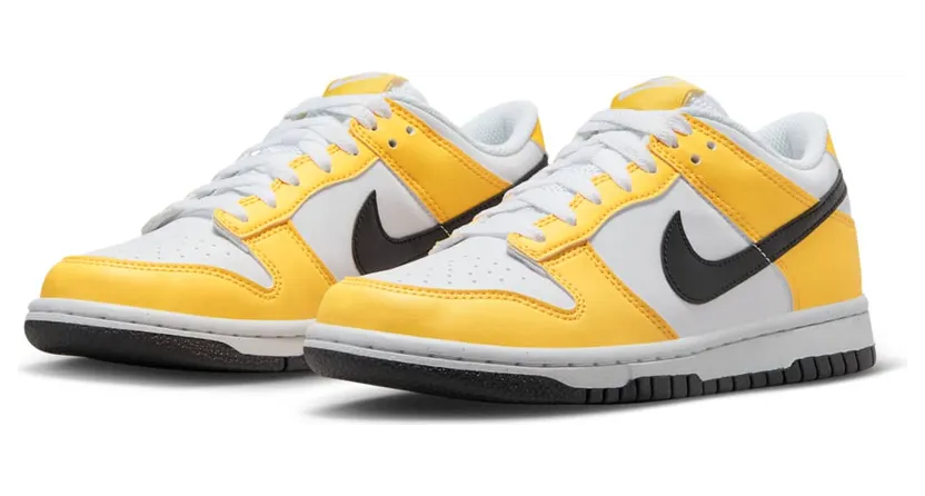 nike-dunk FN3807-800