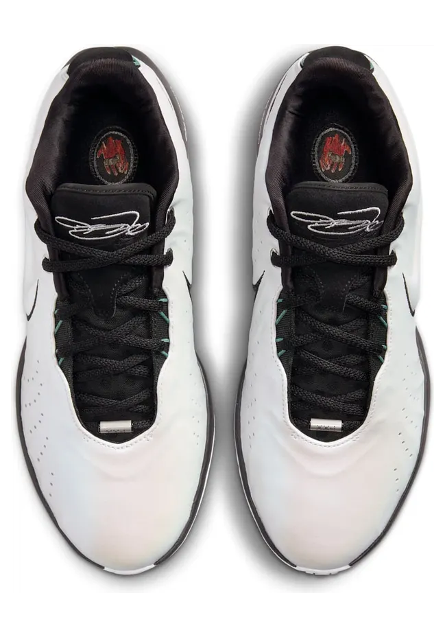 nike-lebron HF5841-100
