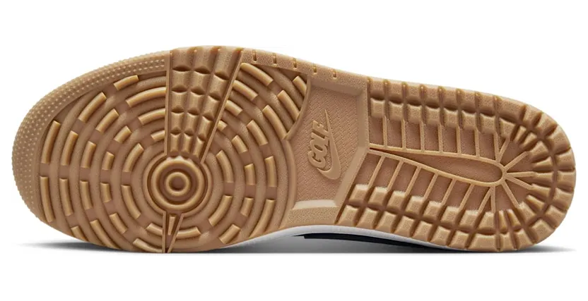 air-jordan-1 DD9315-005