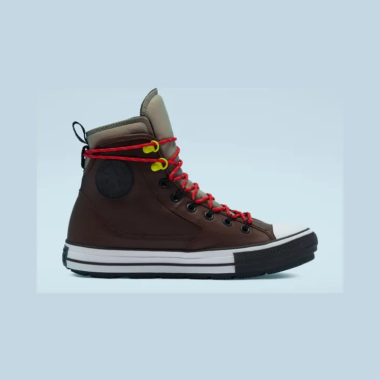 Converse All Terrain Chuck Taylor All Star High Top Dark Root/malted (169588C)