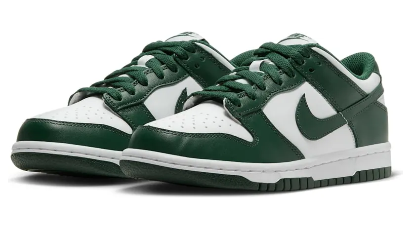 nike-dunk CW1590-102