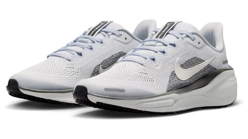 nike-air-pegasus FN5041-006