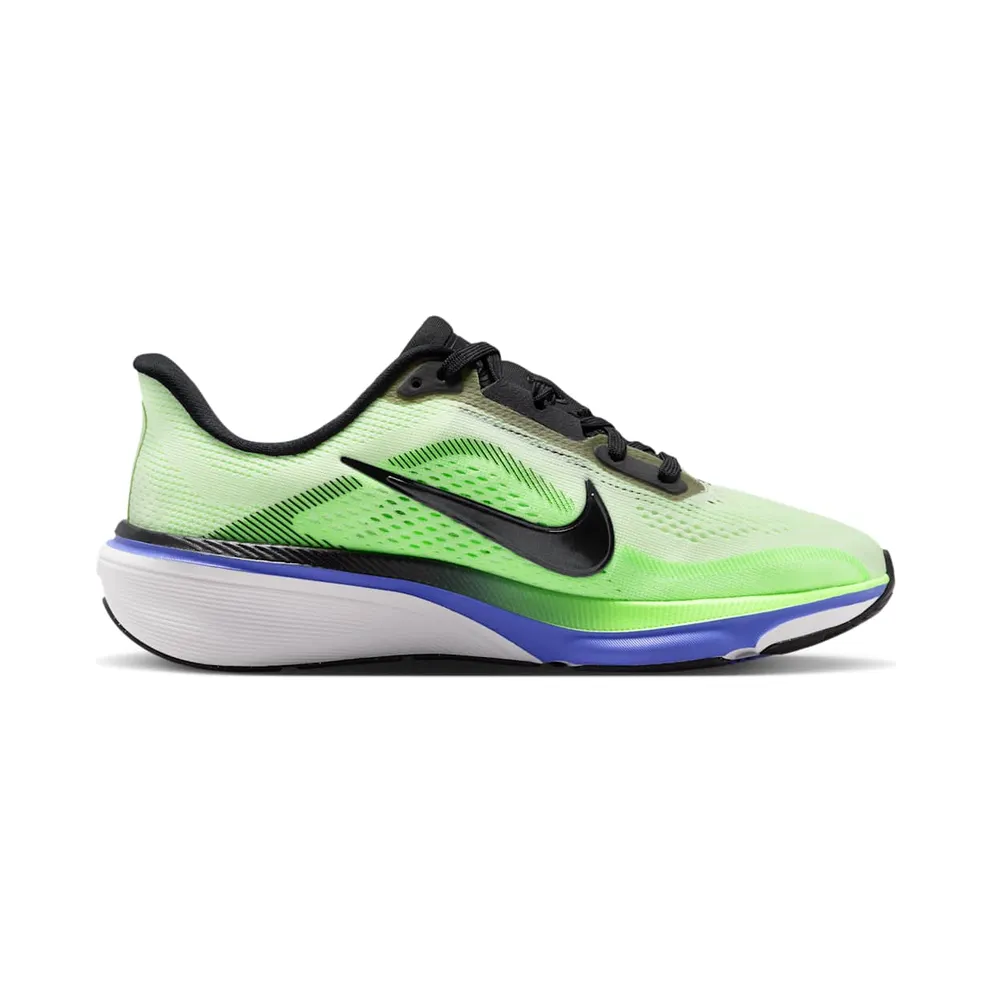 Nike Pegasus Volt Tint/Sapphire/Lime Blast/Black Spruce (IH2306-700)