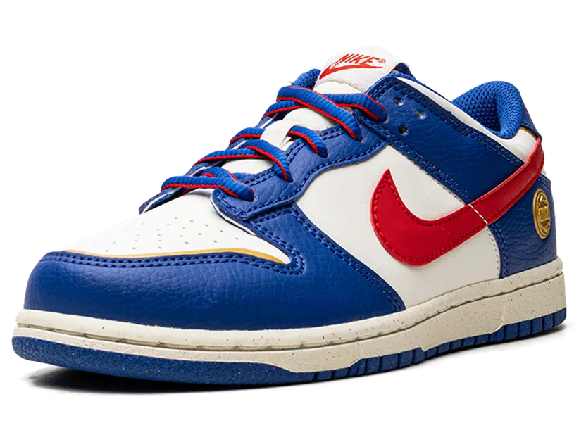nike-dunk FD0673-400
