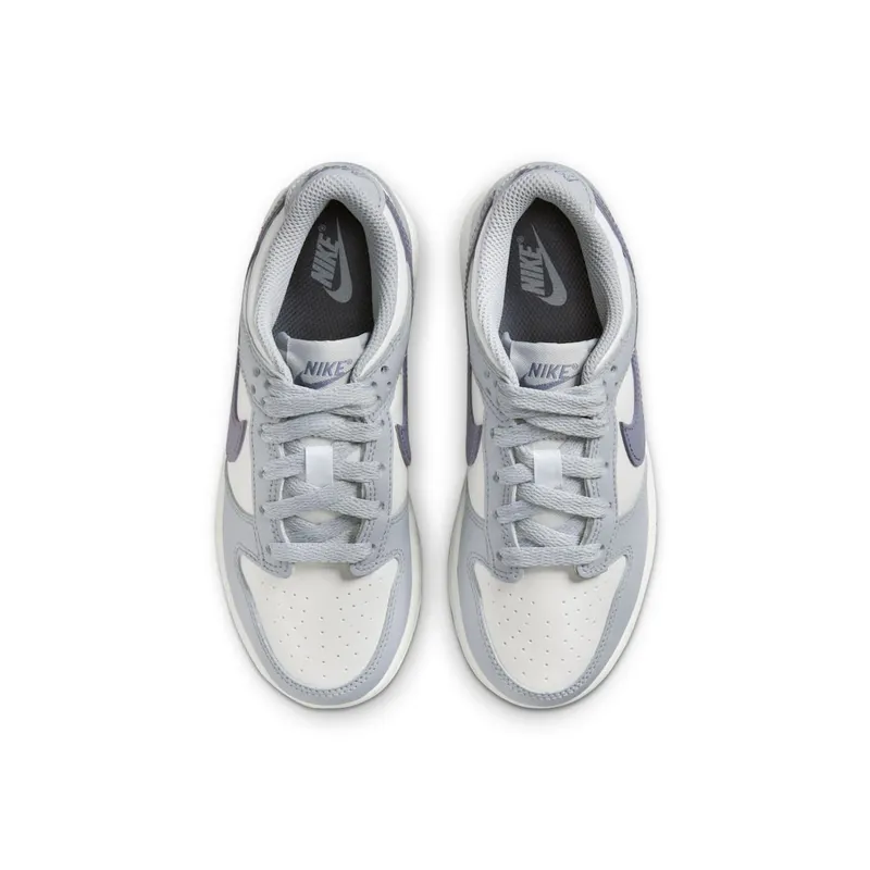 Nike Dunk Low PS “Light Carbon” (FB9108-101)