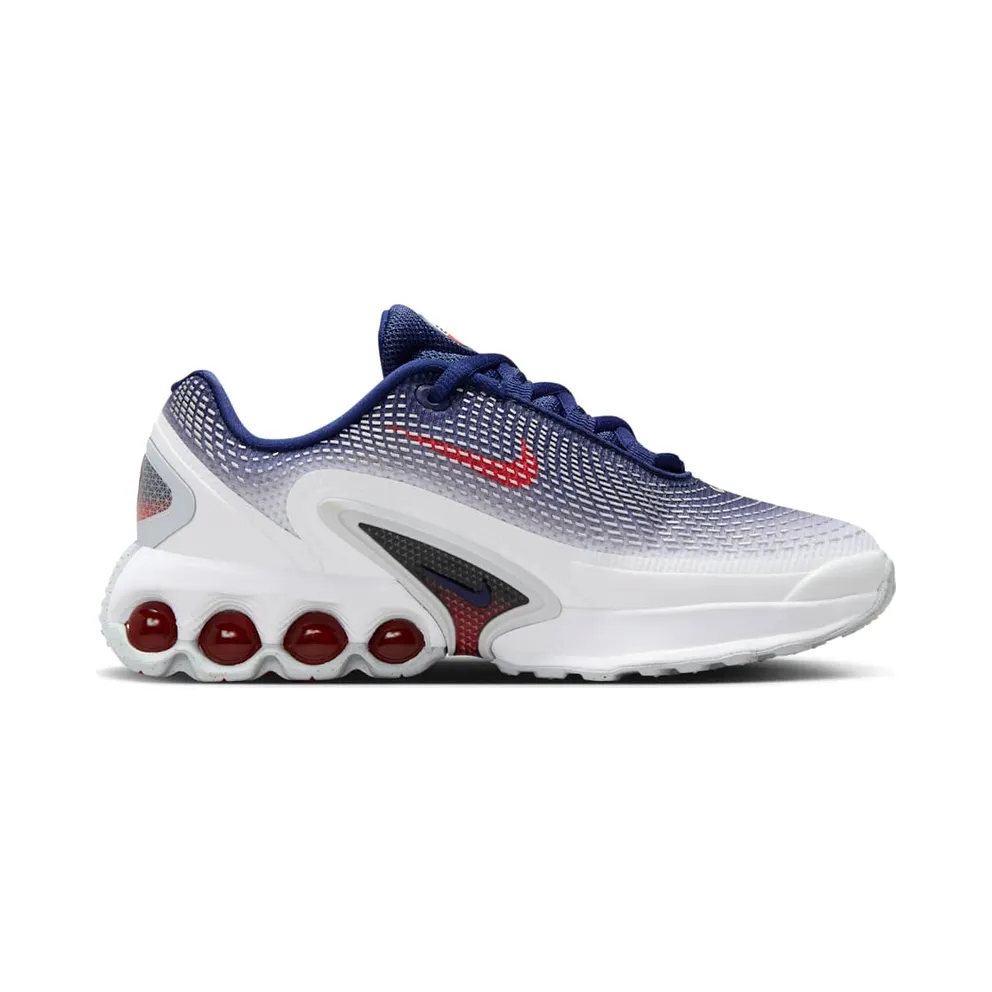 Nike Air Max Dn USA (HQ2869-100)