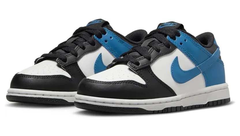 nike-dunk DH9756-104