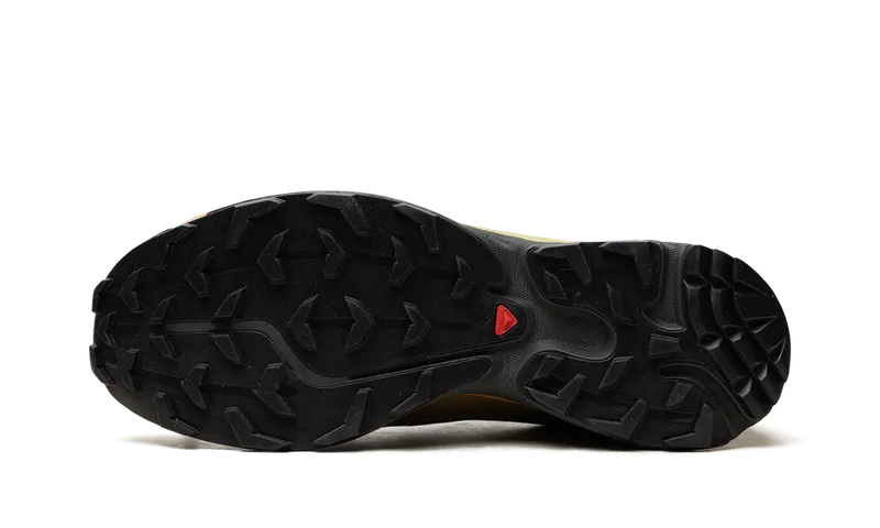 Salomon XT-6 Gore-Tex “Delicioso Tea” (L49202-100)