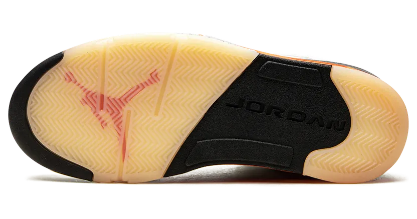 air-jordan-5 DC1060-100