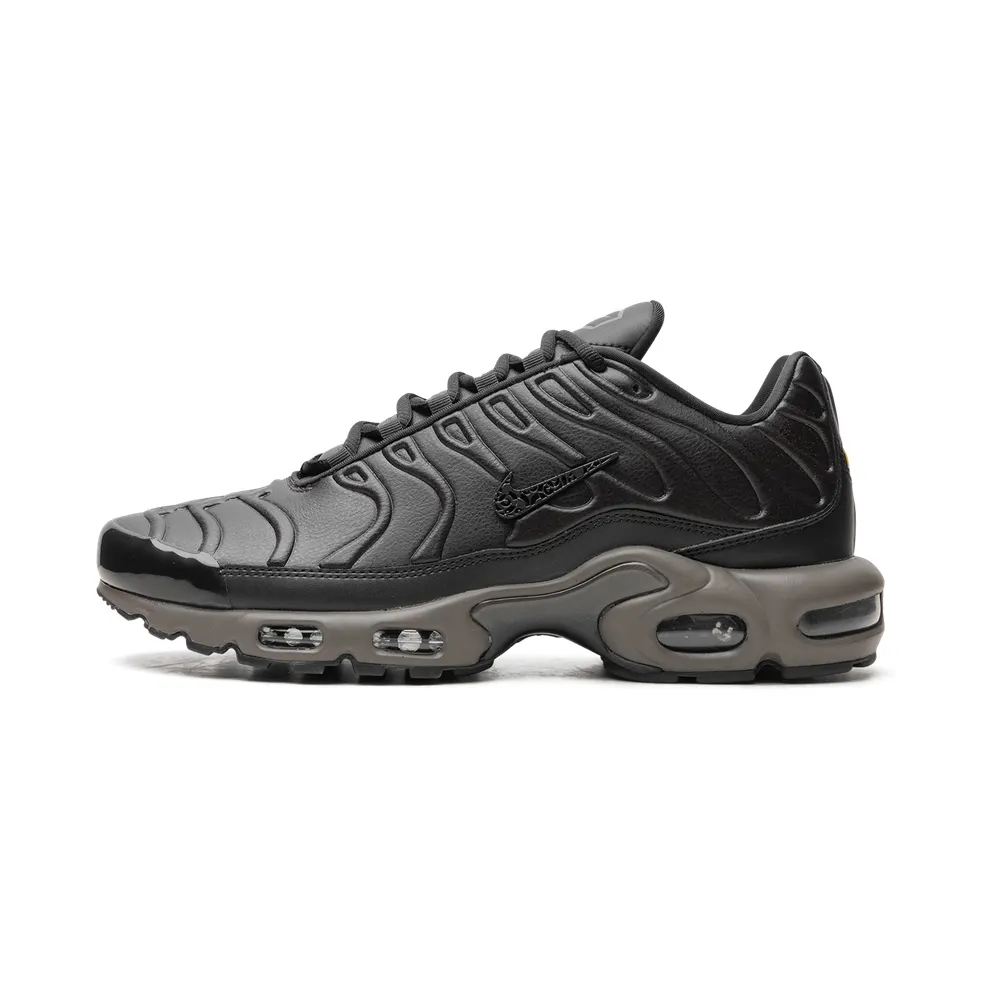 Nike Air Max Plus “Black Tea / Petra Brown” “Black Tea / Petra Brown” (HJ4519-200)