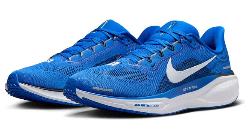 nike-air-zoom FZ5111-400