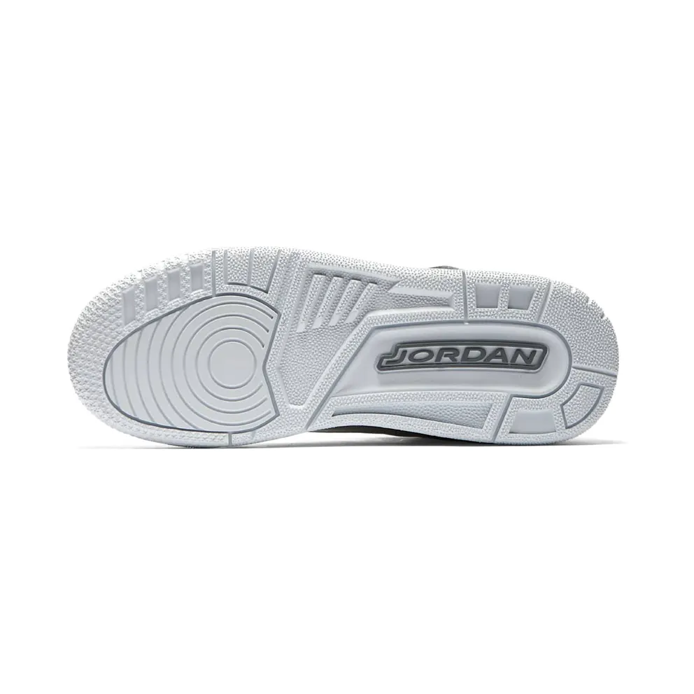 Jordan 3 Retro Premium Heiress Metallic Silver (GS) Metallic Silver/Cool Grey-White (AA1243-020)