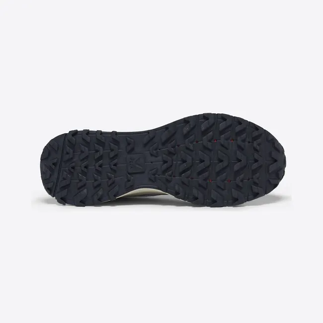 veja-fitz-roy FR2303556A