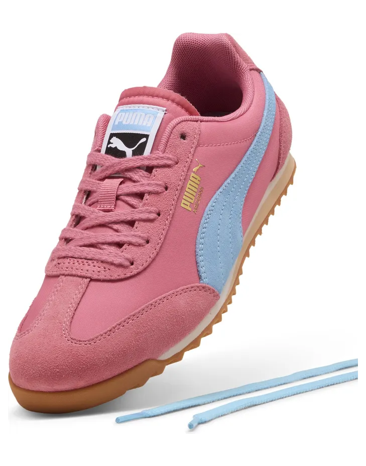 puma-arizona 398682_33