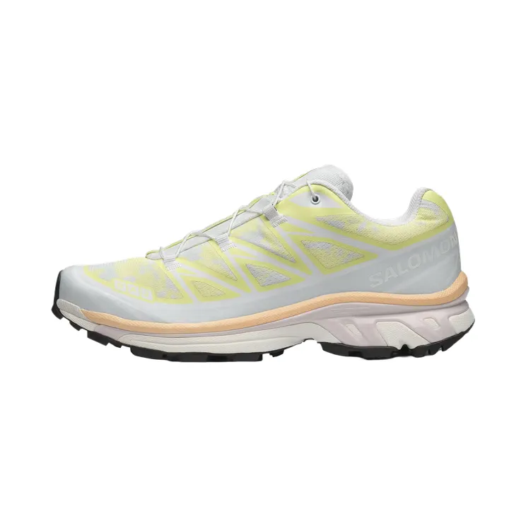 Salomon XT-6 “Alpen Blossom Ice Flow” (L47971-300)