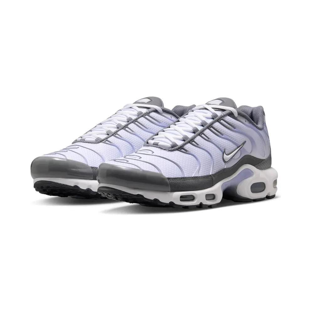 Nike Air Max Plus Smoke Grey/Light Armory Blue/Dark Smoke Grey/White (IV5757-070)
