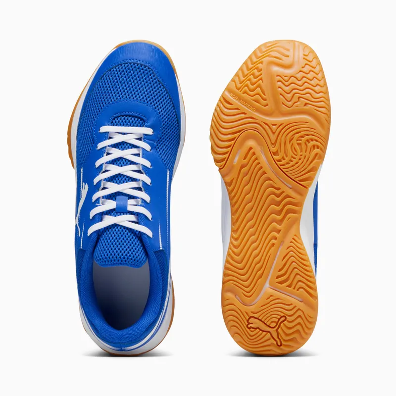 Puma Varion II Indoor Shoes White/Blue (107341-03)