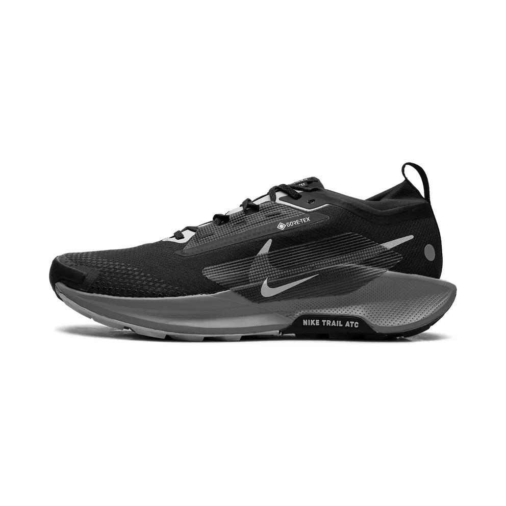 Nike Pegasus Trail 5 “Gore Tex Black” (FQ0908-001)