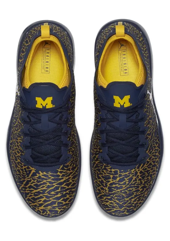 jordan-trainer-1-low 845403-420