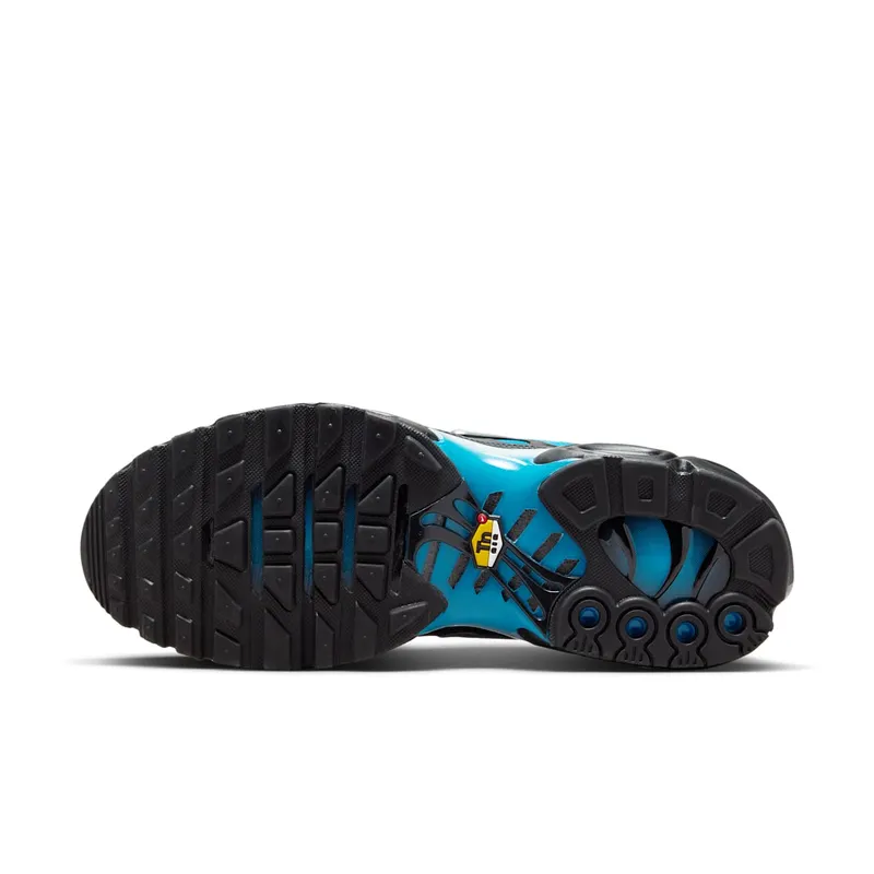 Nike Air Max Plus Blue Gradient (FQ0204-010)