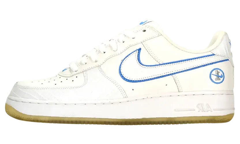 Nike Air Force 1 “Chosen” (306509-116)