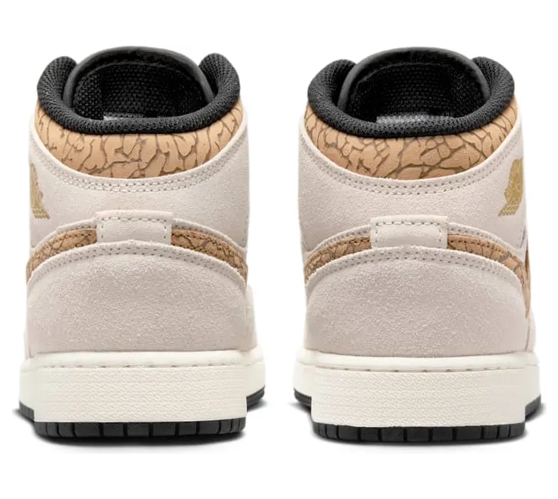air-jordan-1 DZ5369-102