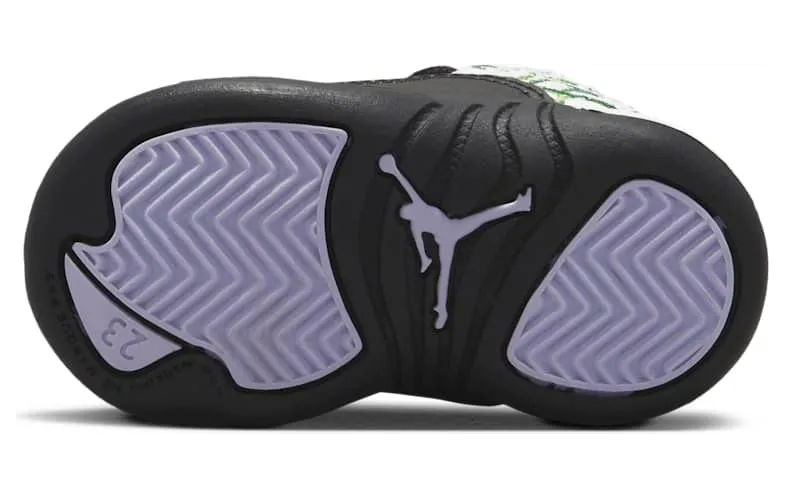 air-jordan-12 DR6955-100