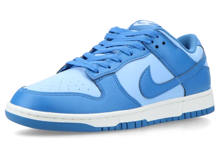 nike-dunk HF5441-400