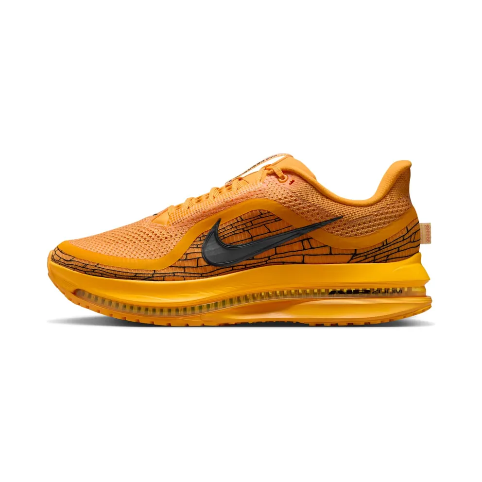 Nike Pegasus Premium “Mayfly” (IH3256-700)