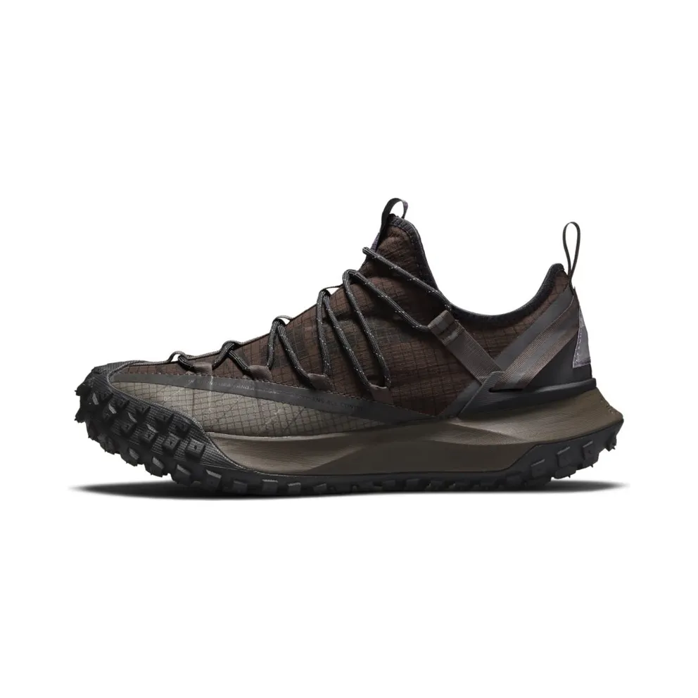 Nike ACG Mountain Fly Lowen Bruin (DC9045-200)