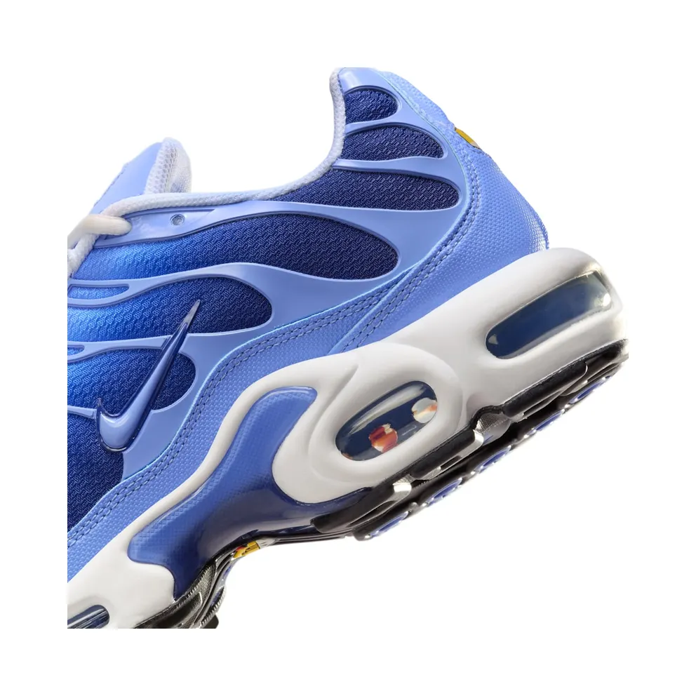 Nike Air Max Plus Blue (DM0032-403)