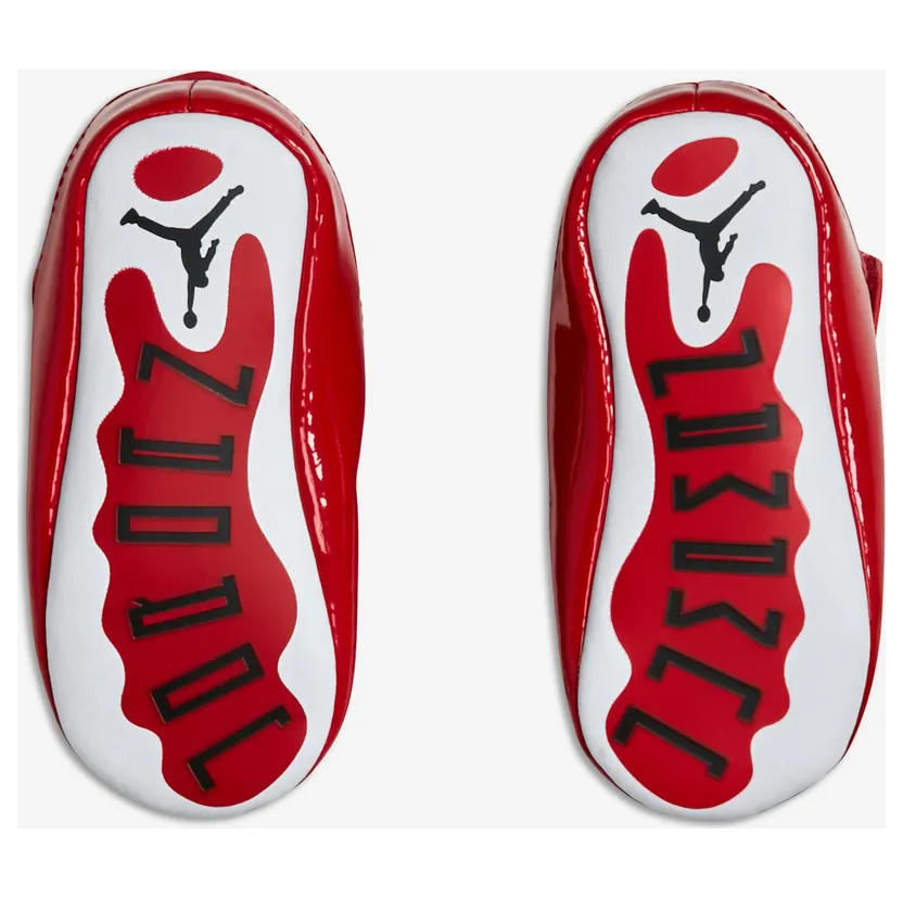 air-jordan-11 378049-623