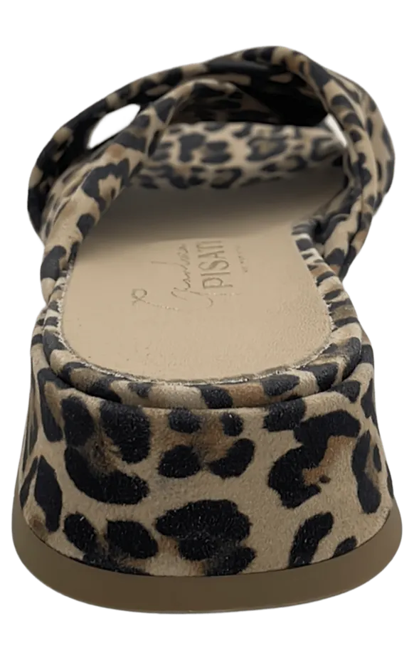 ash-sneaker SIENA
