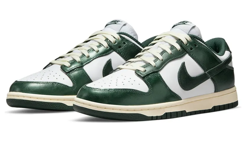 nike-dunk DQ8580-100
