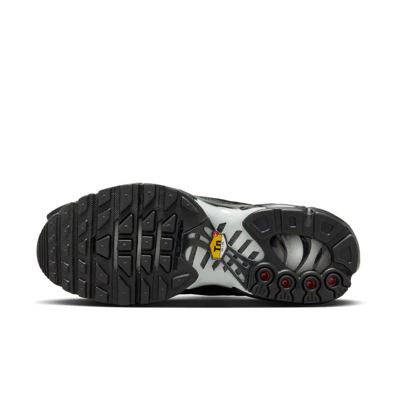 Nike Air Max Plus Black/Anthracite/Sail/Black (FV1169-001)