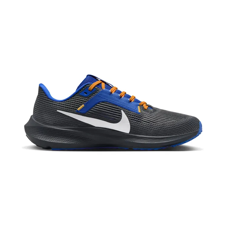 nike-air-pegasus DZ5958-001