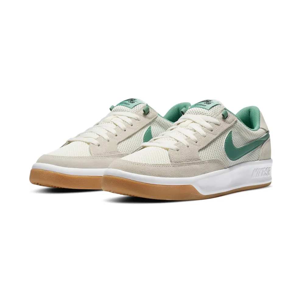Nike SB Adversary Skate White (CJ0887-104)