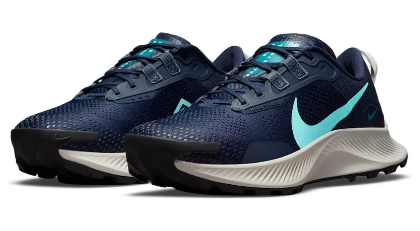 nike-air-pegasus DA8698-400