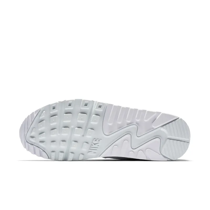 Nike Air Max 90 Ghost Aqua (W) Ghost Aqua/White-White (325213-419)