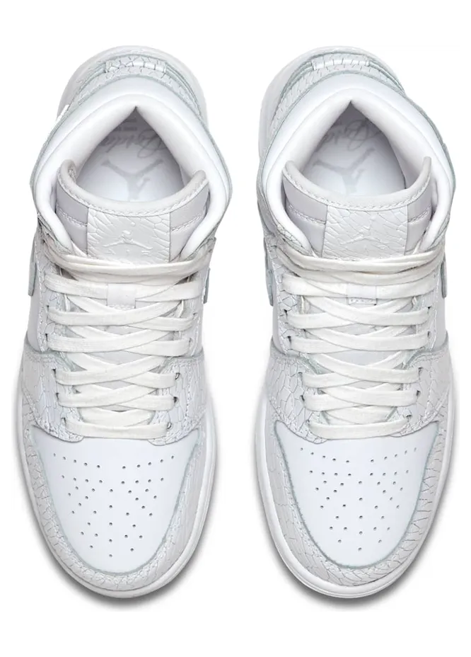 air-jordan-1 832596-100