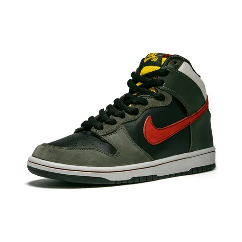 nike-dunk-sb 313171-361
