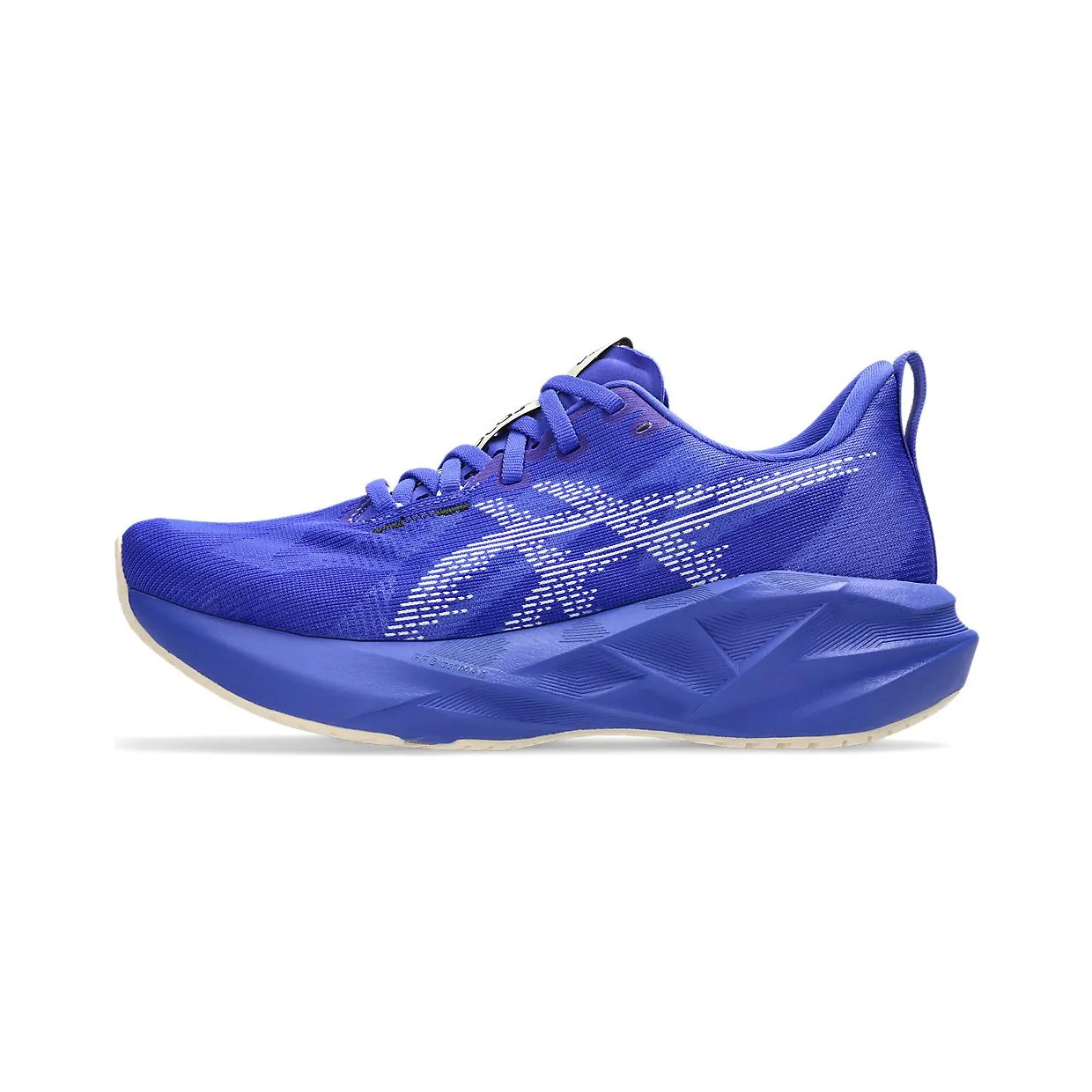 asics-novablast 1012B765-403
