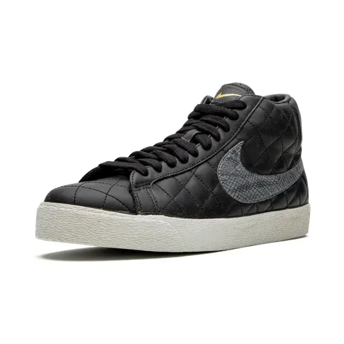 nike-sb 313962-001