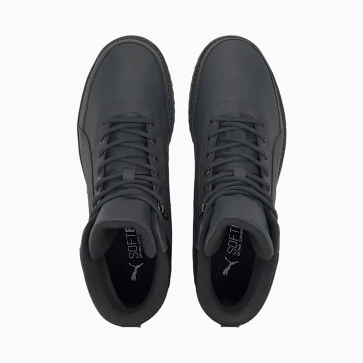 puma-desierto 373026-02