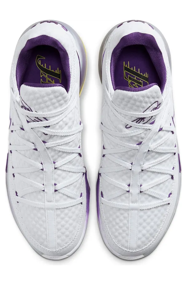 nike-lebron-17 CD5007-102